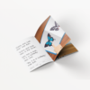 LOE English Reading Book Set