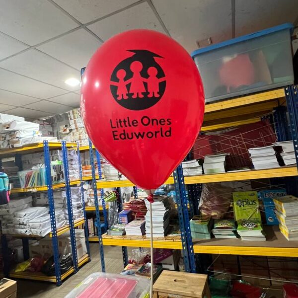 LOE Balloon with Stick