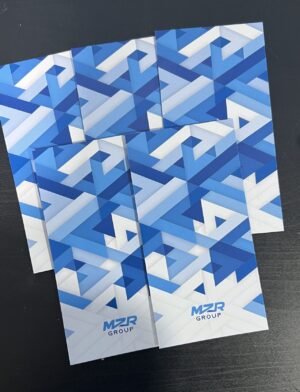 Sampul Raya 2024